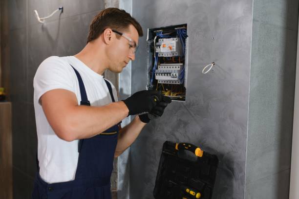 Best Electric Panel Repair  in Bridgeport, WV